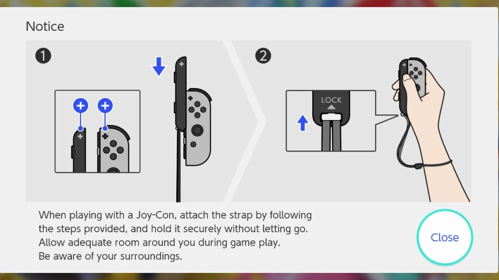 Nintendo Joy-Con Instructions